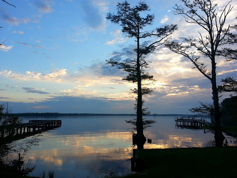 Ornery Economy | 1 of&nbsp;6